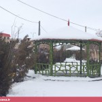 بارش سنگین برف در قهاوند (4)